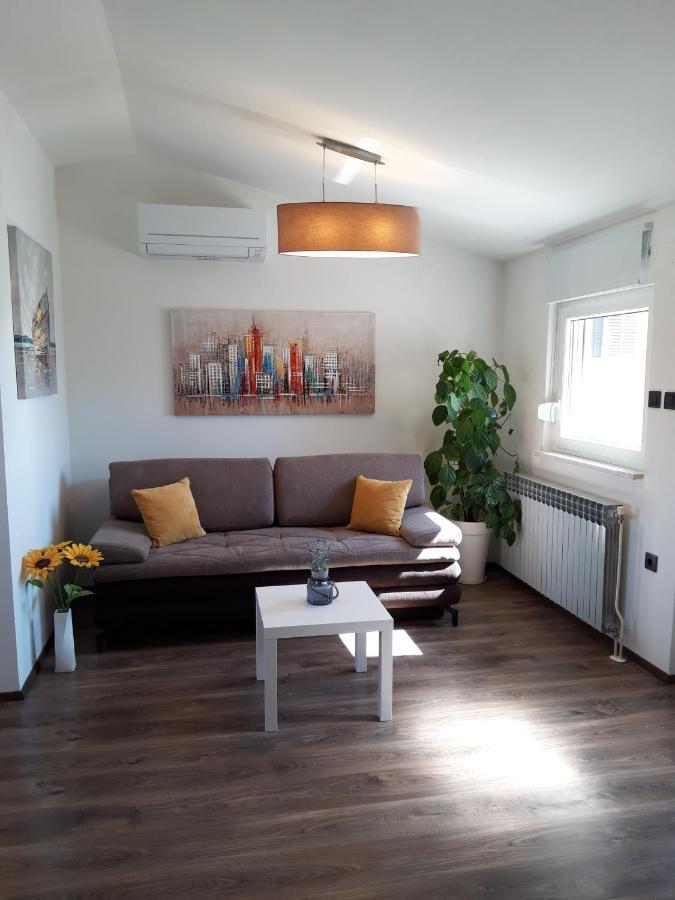Apartments Pineta Franko ฟาชานา ภายนอก รูปภาพ